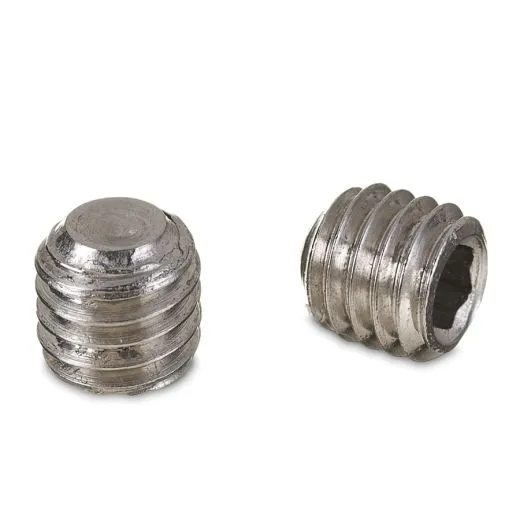 Edelstahl Madenschraube 5 mm (10 Stck)
